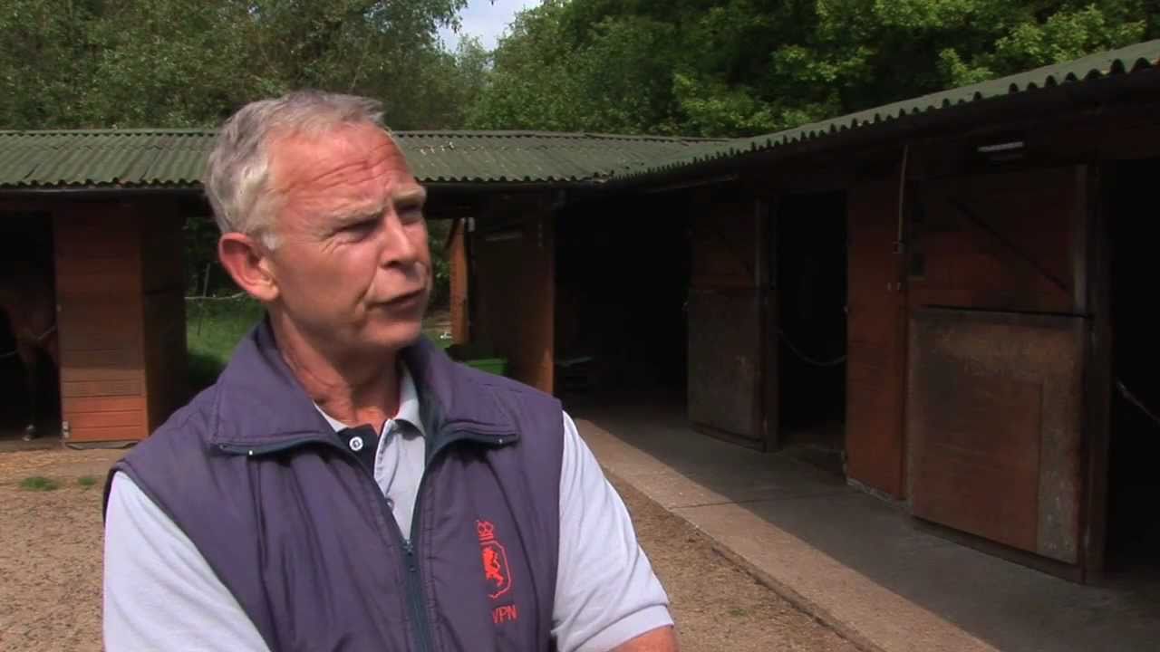 Verdo Horse Bedding Video