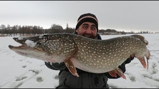 Оснастка жерлиц на крупную щуку