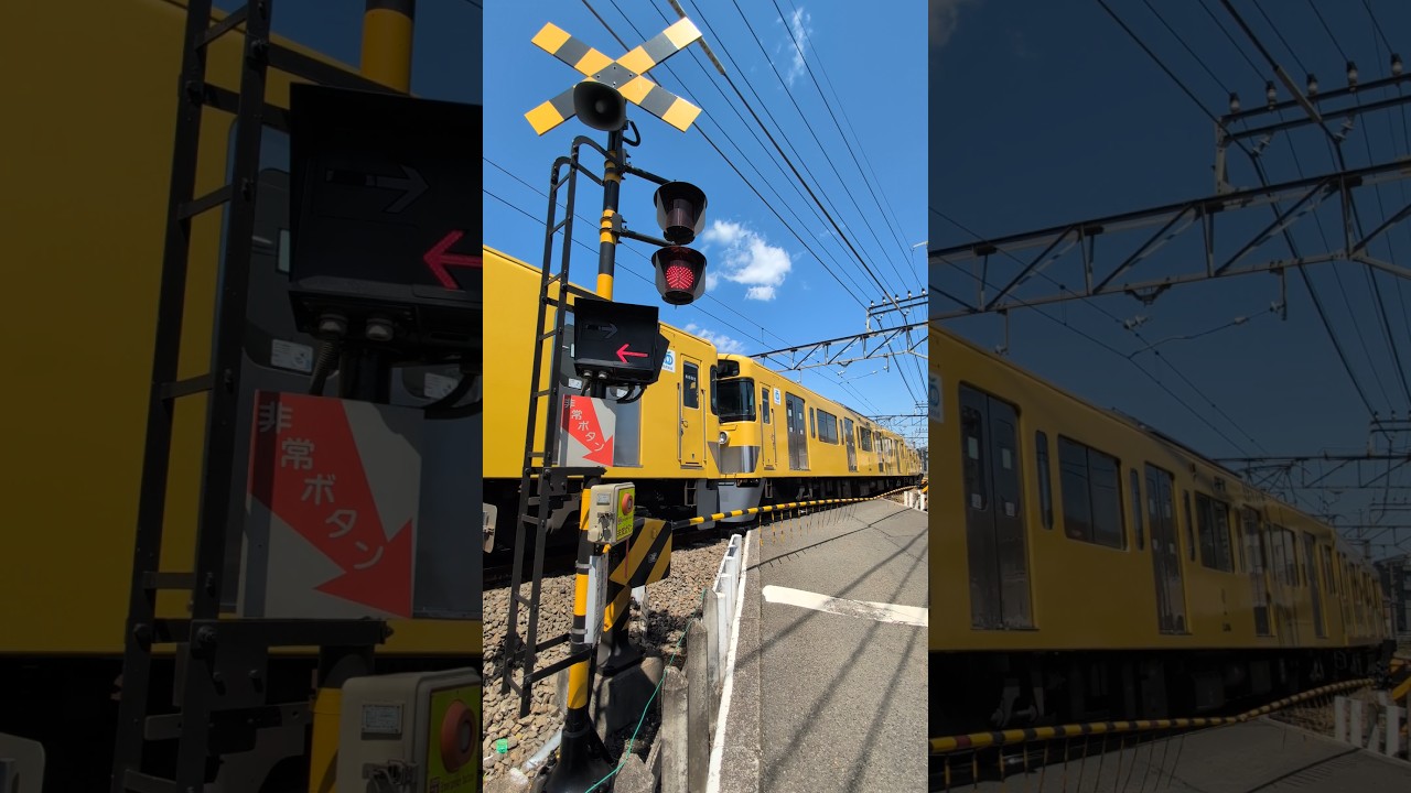 小川第2号踏切を西武2000系黄色い電車2079F＋2455Fが通過します。 カンカン警報機音ASMR #shorts