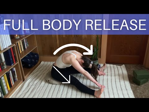 Beginner Pilates For Flexibility | Daily Exercise...
