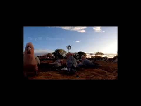 Millions Of Longhorn Cattle In America And Africa Are Raised This Way