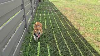 Otis knows how things should be