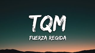 Cover art for TQM
