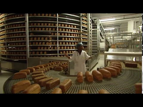 Hoe wordt brood gemaakt? | Doen Ze Dat Zo?