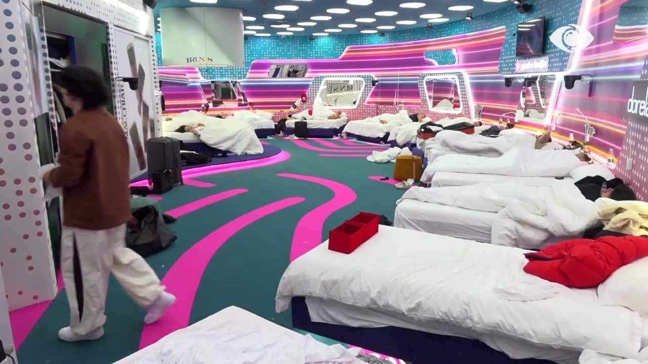 O palaço, dil përjashtë/ Mateo debaton me Artanin: Ule kokën dhe dil