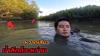 หว่านแบบนี้ อิ่มไปอีกหลายมื้อ เยอะจริง | เดี๋ยวSuphaพาไป