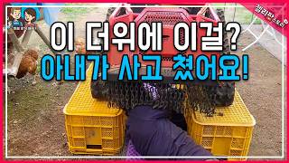 폭염주의보 날 아내의 대형사고?! 무전 제초기가 농장 와이어를 삼켰습니다???? (땀범벅 구조작전)