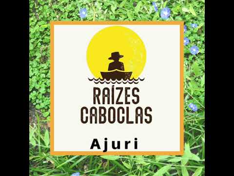 Ajuri video