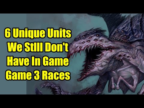 6 Missing Unique Units We Still Don't Have In Game - Game 3 Races - Total War Warhammer 3