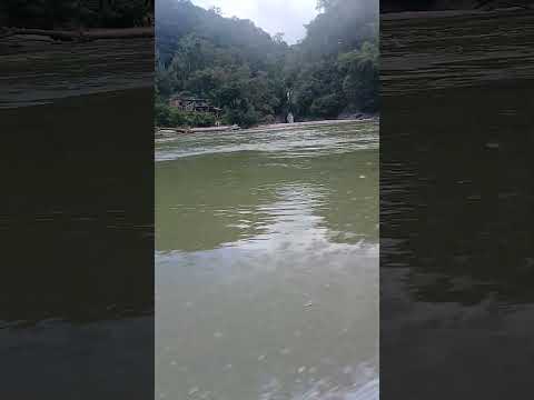 el zona  ( puerto nare antioquia )  VISITANOS 🦈‼️🦍
