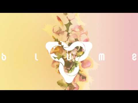 3LAU Feat. Yeah Boy - On My Mind (Official Audio)