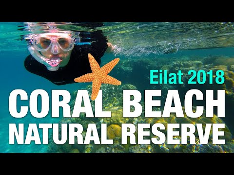 Coral Beach Natural Reserve - Eilat Nov 2018