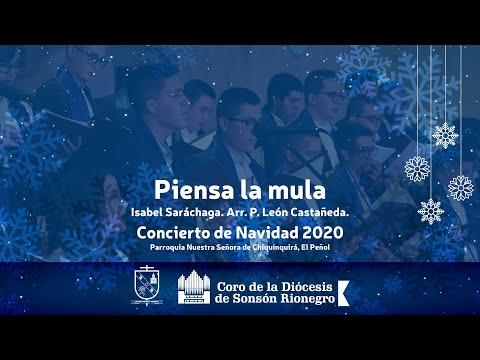 Piensa la Mula | Coro de la Diócesis de Sonsón Rionegro