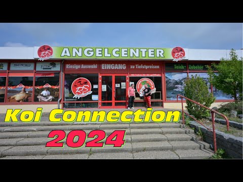 Koi Connection 2024. Zwei riesige Angelfachgeschäfte und 500 Quadratmeter Koi!