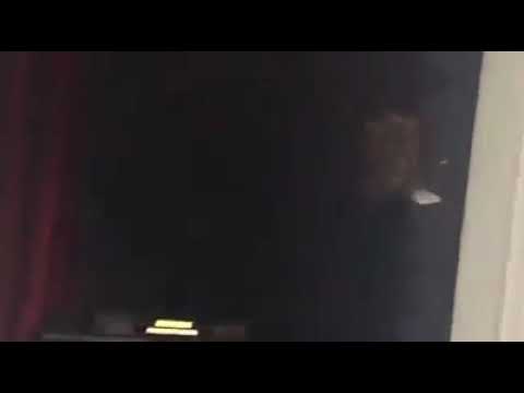 Solomia Lukyanets - I wish You a Merry Merry Christmas