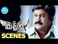 Mallanna Movie Scenes People Shocked Over The Mysterious Tree Shriya Saran