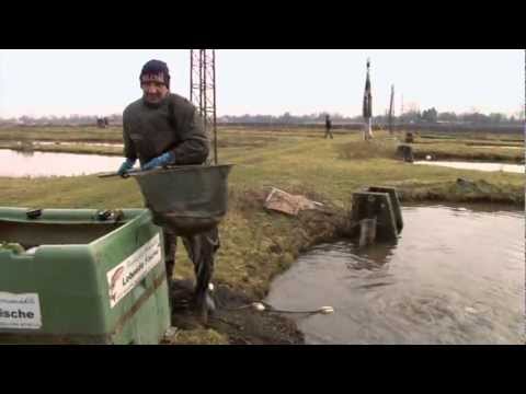 LFV, Der Fall Kormoran (VTS_02_3)