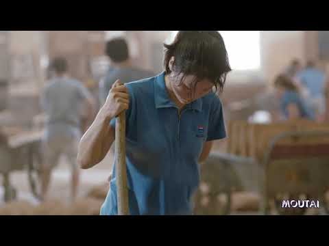 Moutai video