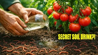 Don’t Plant Tomatoes Until You Do This — Your Soil Will Thank You