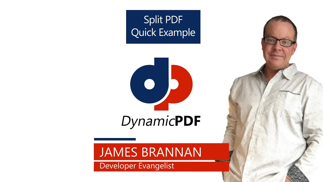 Splitting a PDF into Multiple PDFs Using DynamicPDF Core Suite