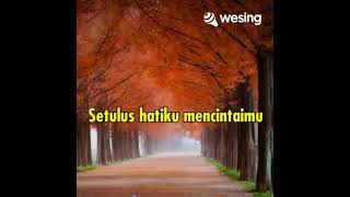 Download lagu Setulus Mencintaimu mp3