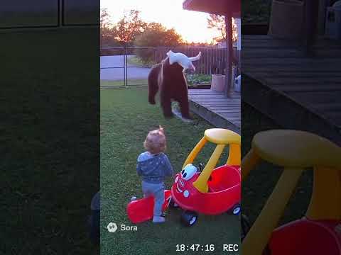 Unbelievable: Cat Jumps on Bear to Protect Toddler!