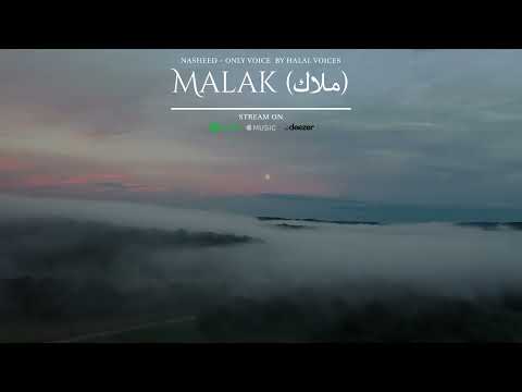 Malak (Clips) | Halal Voices