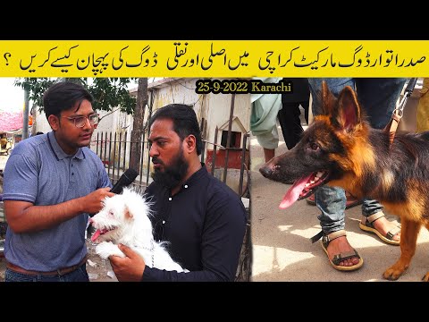 Sunday Dogs Kutta Market Saddar Karachi 25-9-2022 | Cheapest Dogs Market In Pakistan