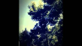 Buffalo Killers - Home Grown