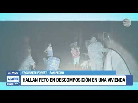 ¡Macabro! Hallan feto en descomposición en vivienda de Yaguareté Forest