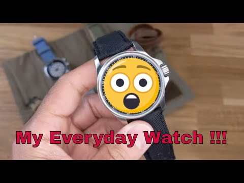 My Everyday Watch Under $500 in 2020. The Luminox Field Series 1820 Day-Date With A Barton Band. EDC