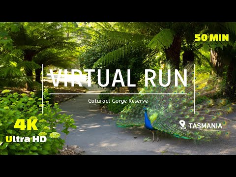 Virtual Run Trail - Trail Run 4K - Treadmill Workout -Cataract Gorge - Scenery Tasmania