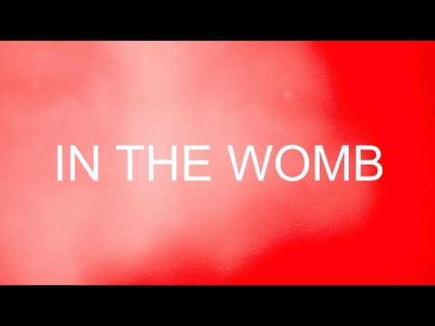 IN THE WOMB