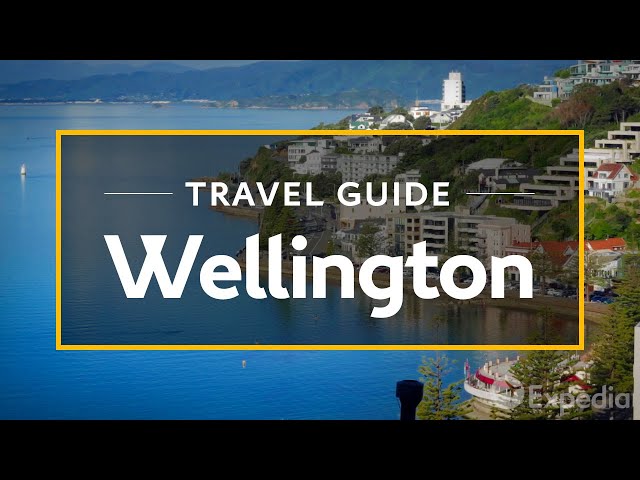 Videouttalande av Wellington Engelska