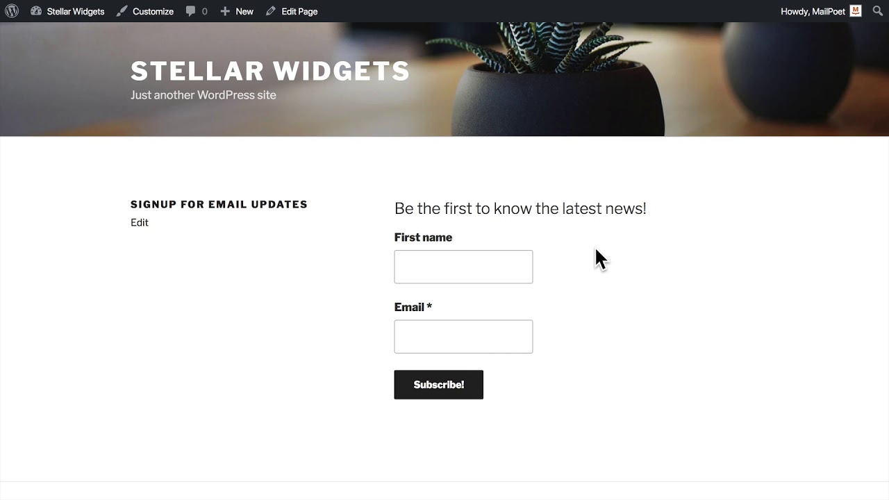 Setting up email subscription forms in WordPress for MailPoet