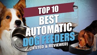 Top 10 Best Automatic Dog Feeders of 2018