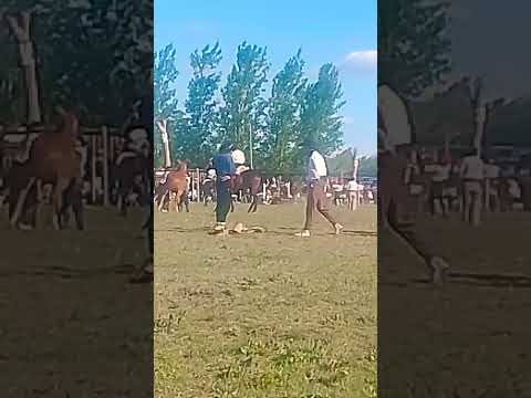 47° fiesta de la tradición buena esperanza San Luis