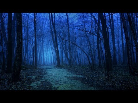 Celtic Sleep Music - Dreamland Woods | Relaxing, Soothing, Peaceful ★83