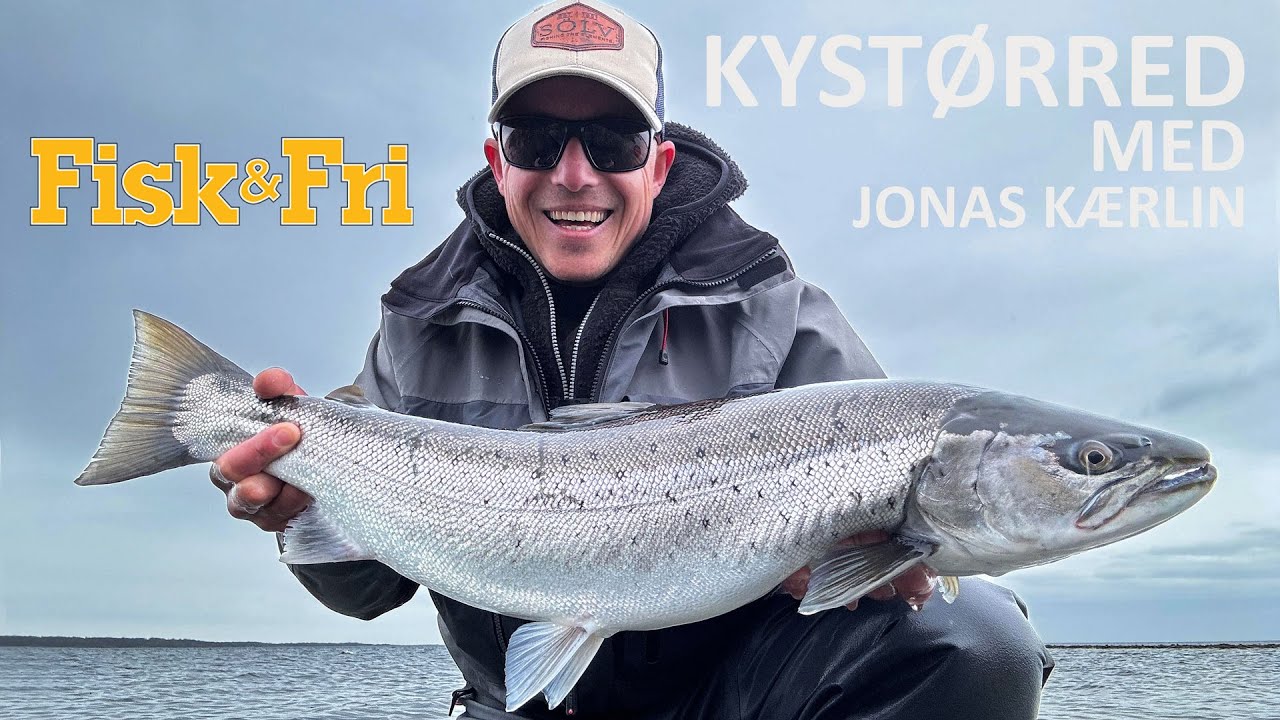 NY VIDEO: KYSTØRRED MED JONAS KÆRLIN