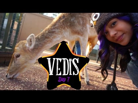 ADELAIDE ZOO TIME! | #VEDIS Day 7