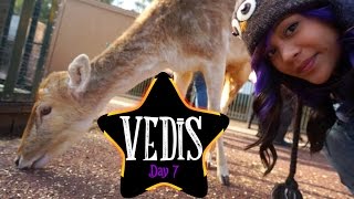 ADELAIDE ZOO TIME! | #VEDIS Day 7