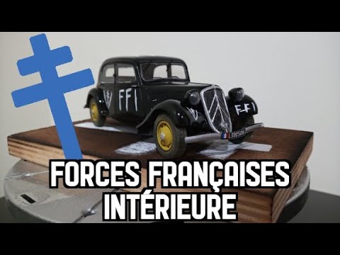 CBD for Cats Video Preview