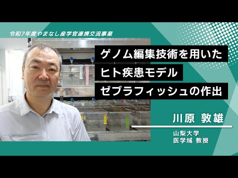 【山梨大学　研究紹介】ゲノム編集技術を用いたヒト疾患モデル・ゼブラフィッシュの作出