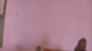 Viral de Soy La Oruga TikTok de Honduras and video and trending video