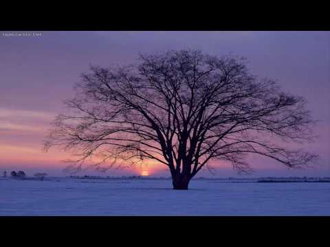 ID - ID [Angel Ace Innertrance 43]