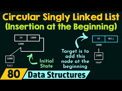 Introduction to Circular Linked List