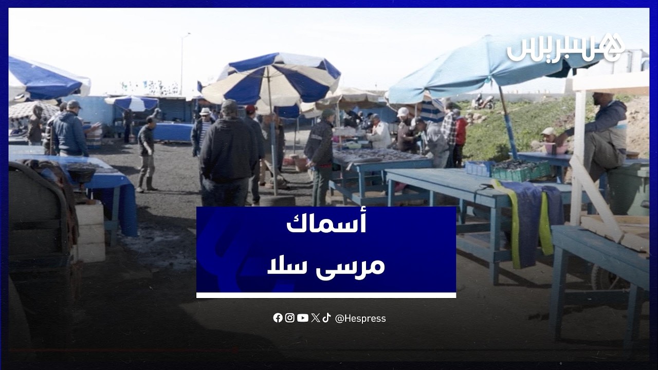 استقرار الأحوال الجوية ينعكس إيجابا على جودة وأسعار الأسماك بمرسى سلا thumbnail