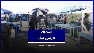 استقرار الأحوال الجوية ينعكس إيجابا على جودة وأسعار الأسماك بمرسى سلا thumbnail
