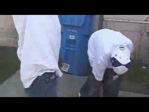 spider loc brainless dvd 1