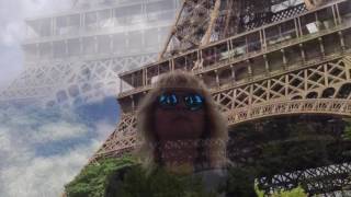 Gianna Nannini 💗 Indimenticabile